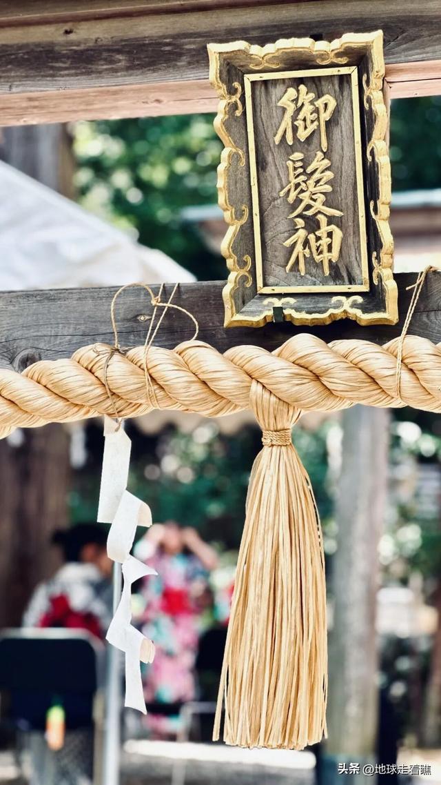 在京都最热的天，我抢到了那节“没顶”的5号车厢