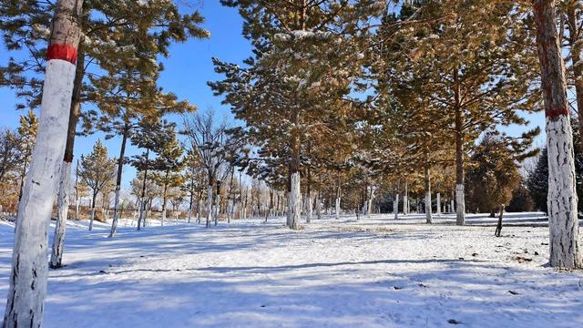 雪染古浪 一城素韵