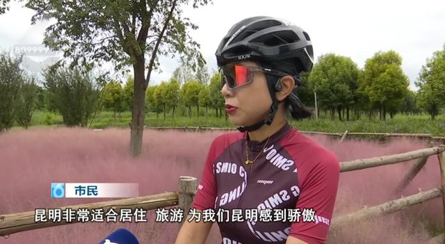 离市区不远！昆明的这片粉色“花海”，也太美了~