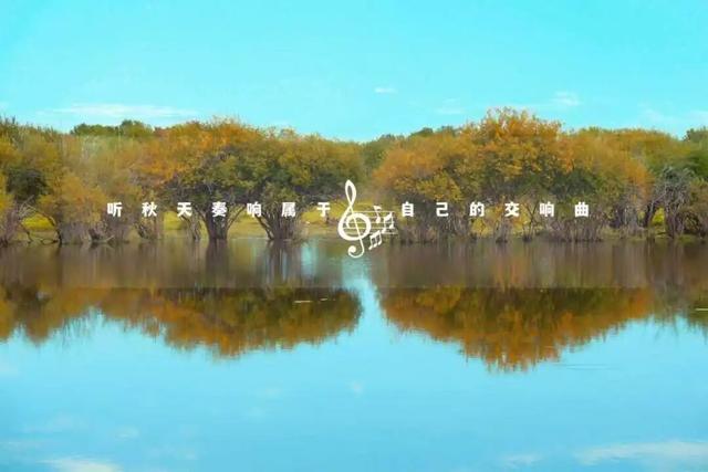 海拉尔区秋景图鉴——把远方的诗意装进镜头，把故乡的秋色揽入心怀