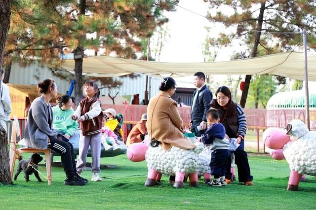 初冬限定！观鸟、彩叶、遛娃一站式，承包全家 “零负担” 快乐