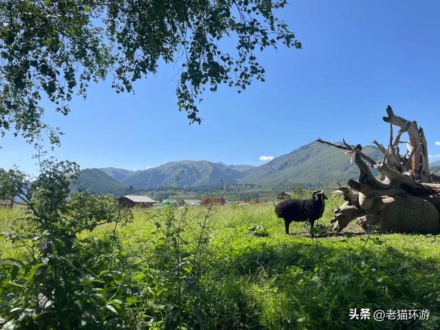 9月的阿勒泰,是新疆的天花板