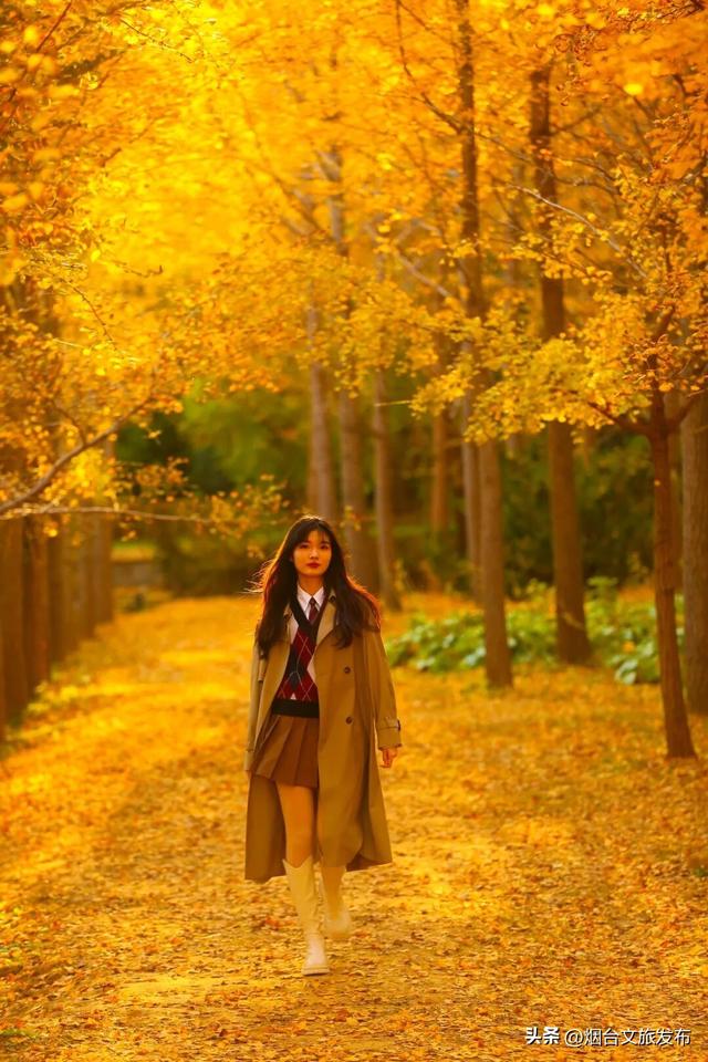 【乐游烟台】这是一份来自“金色梦境”的邀约，一起来撒欢