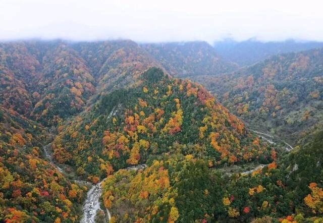 【美丽四川】秋日唐家河，闯入触手可及的油画世界‖柳红樱