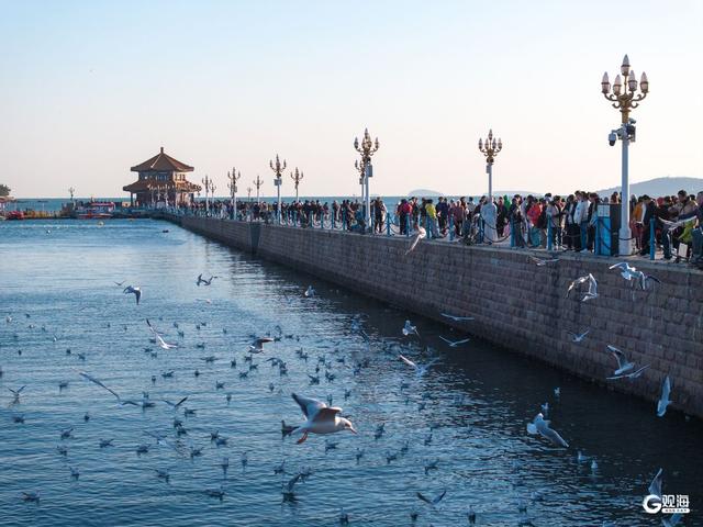 青岛冬日的海，是这座城市的浪漫注脚