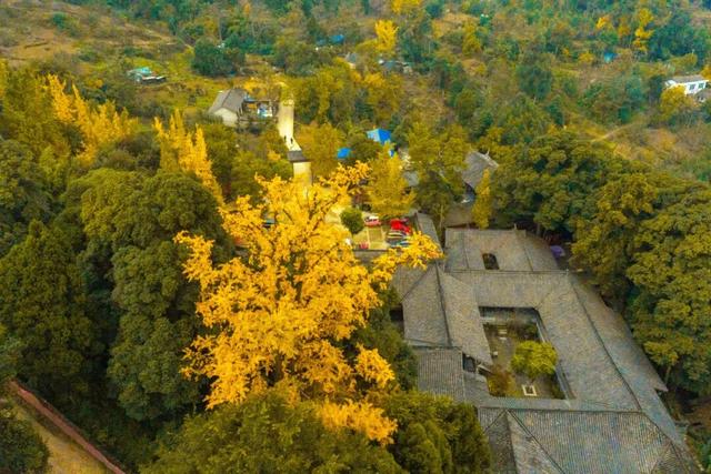 彭州这条“世界级”徒步线，走起！