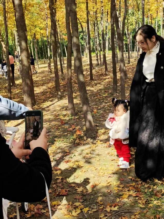 “枫”狂派对，现在进行时……