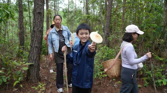 思茅区：咖啡庄园迎来暑期旅游热 解锁“咖旅融合”新玩法