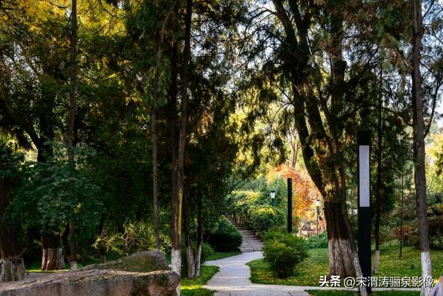 甘肃兰州：兰州两日游之兰州大学壮观大气 秋色盎然 美丽醉人