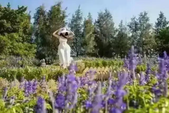 两性关系:男人过五十,永远不要在女人面前,说以下5句话!