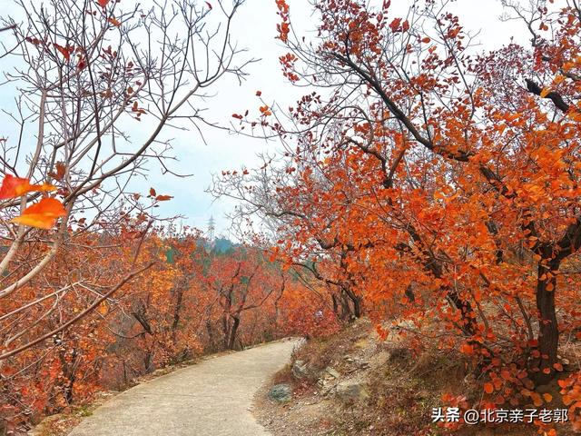 百望山三条宝藏徒步路线大揭秘