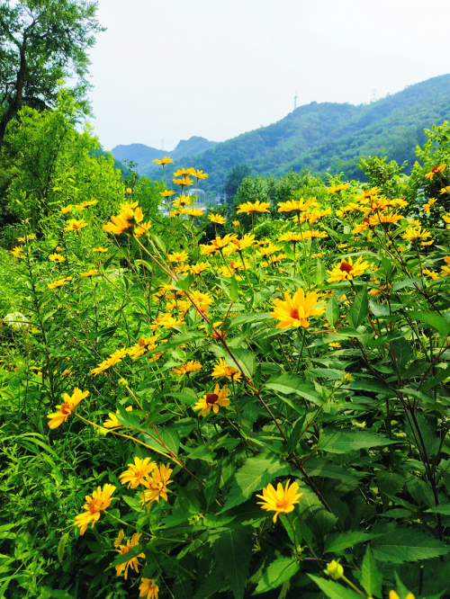 深山秘境里的桃源：香榭山庄，一场都市之外的灵魂栖居