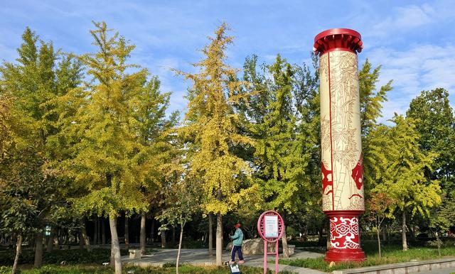 漫步泰安天平湖植物园