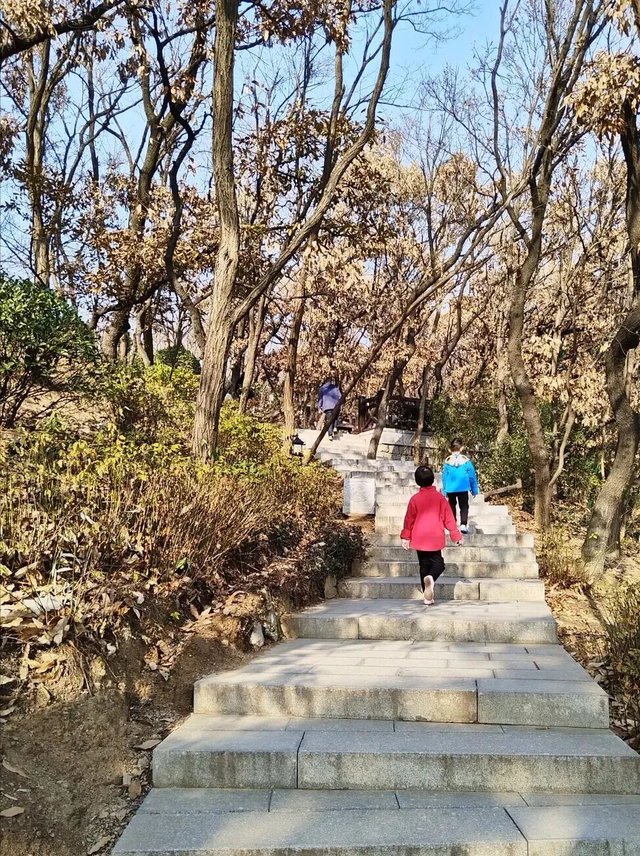 烟台人心中的“吉祥山”，山顶的凤凰阁开放了