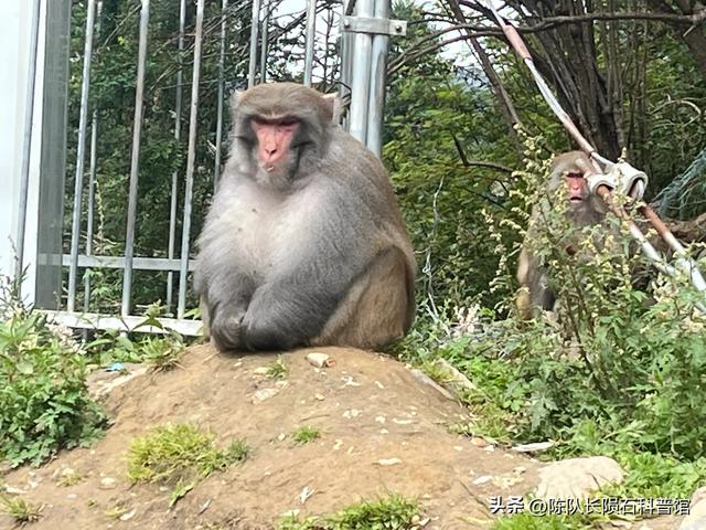 此生必驾219