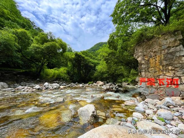 进山纳凉来黑河国家森林公园，让你逃离酷暑，一键降温！