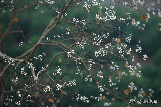 秋色塔川，无梦到徽州