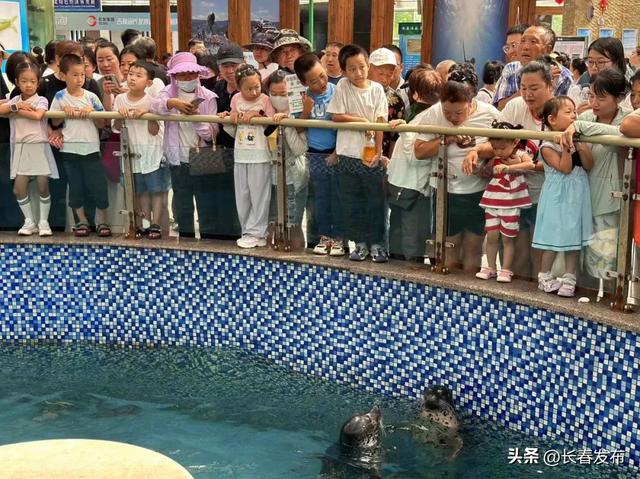 走进长春!150个网红打卡地之长春农业博览园