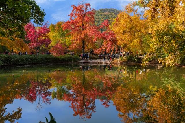 天平山：中国四大赏枫地的徒步赏秋天堂