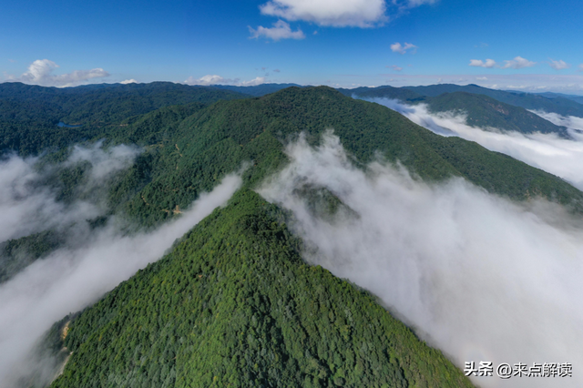 官宣即停办！哀牢山赛事闹剧，暴露文旅流量焦虑的致命陷阱