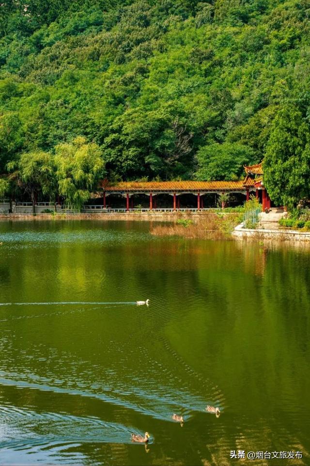 【乐游烟台】正式宣布！下一轮降温前，烟台人该……