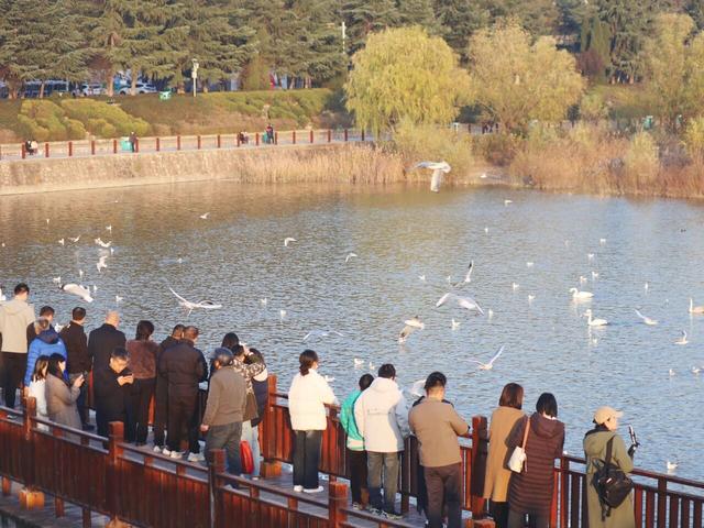 陕州周末漫游指南：温泉暖身，烟火入味，山河藏诗