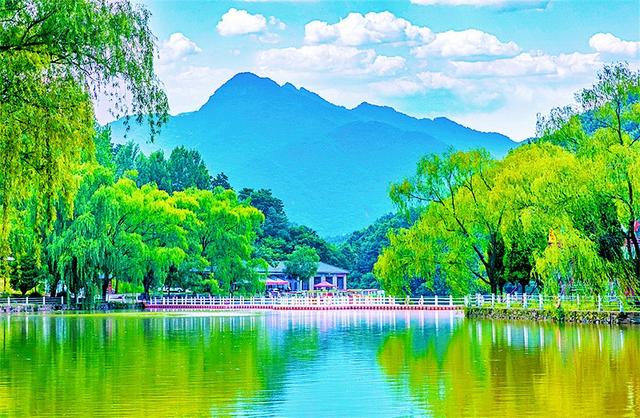 “黄金廊道”串运城景 追“浪浪山”热潮畅快撒欢