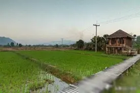人在临死的时候双手为什么会在空气中乱抓？是因为痛苦吗图片