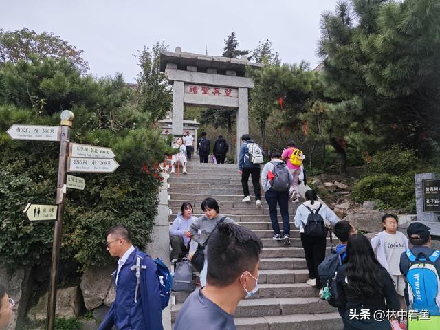 徒步登泰山之三——岱顶风光奇秀绝天下