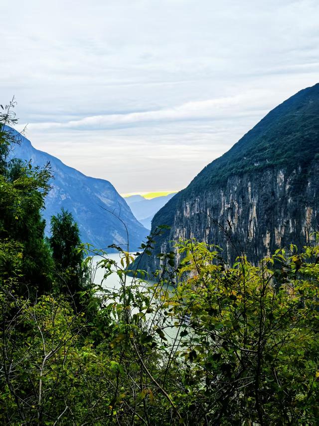 初冬已至！重庆出发高铁2h，邂逅冬季限定治愈游！