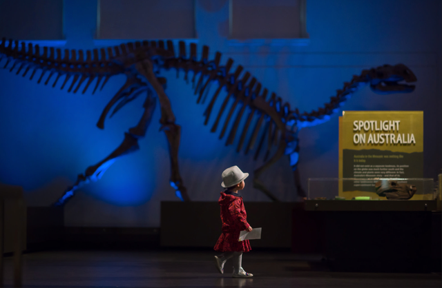 今年冬天，我想去这里过夏天