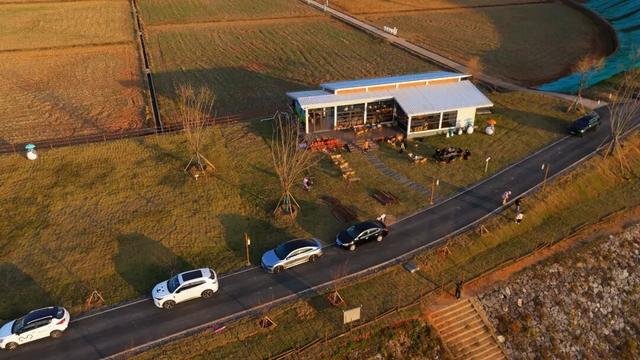 在韶关，带毛孩子去哪“浪”？这份宠物友好地图请收藏，撒欢不踩雷~