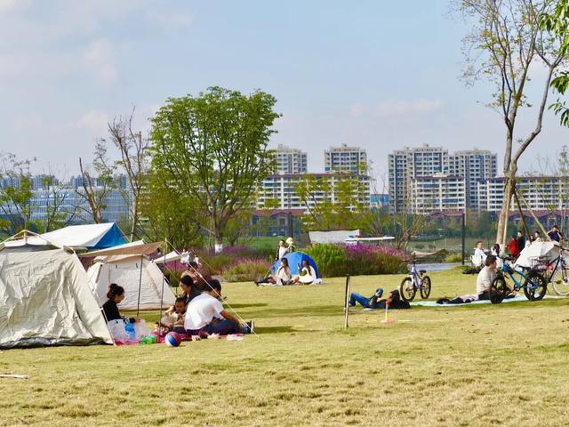 99%的新区人都在做的事，你做了没?