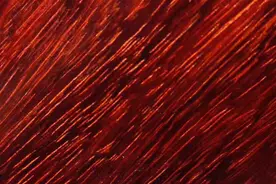 国标红木29种木材图片