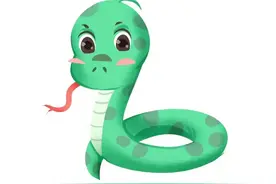 2025蛇年男孩多还是女孩多？几月容易生女孩？几月容易生男孩？图片