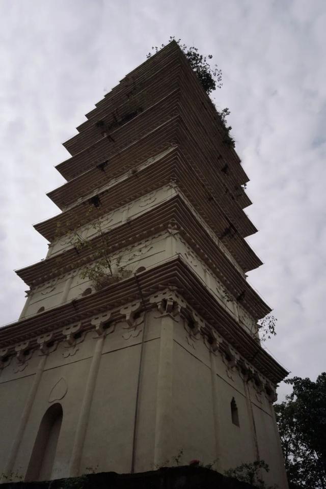 从成都出发，在龙泉山东麓邂逅一座千年场镇的温柔