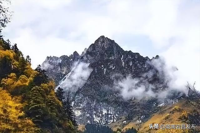 千年药乡•康养宕昌 | 接下来的官鹅沟~
