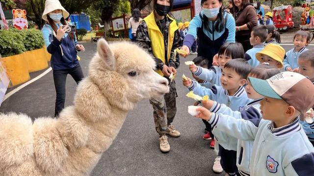 别卷作业了，卷卷大自然！韶关秋日研学，让娃成为朋友圈最酷的崽