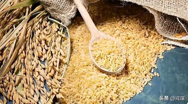 比丢导弹还危险？间谍在我国偷亲本种子，真能卡中国饭碗脖子！