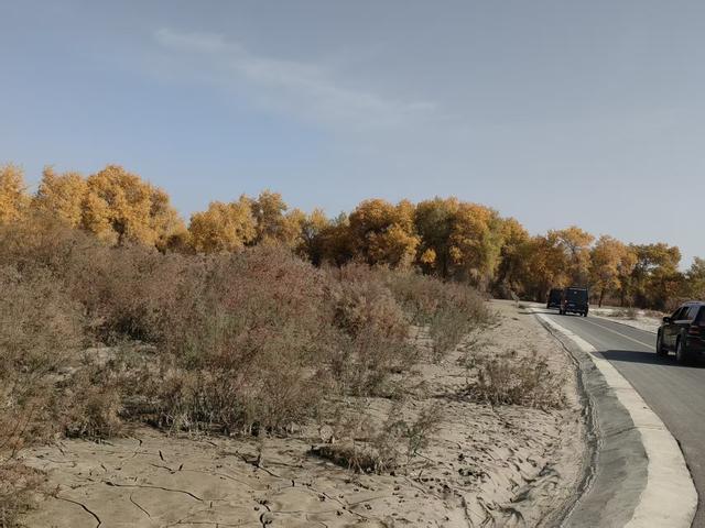 戈壁邂逅盛景 陕建燃情筑梦