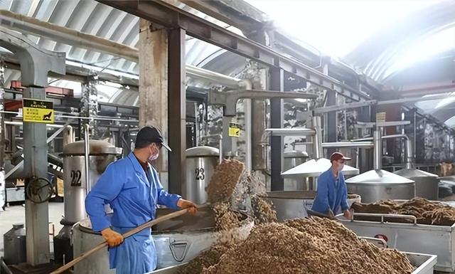 大批德国游客涌入山东，打着旅游的“名义”，大口喝青岛啤酒
