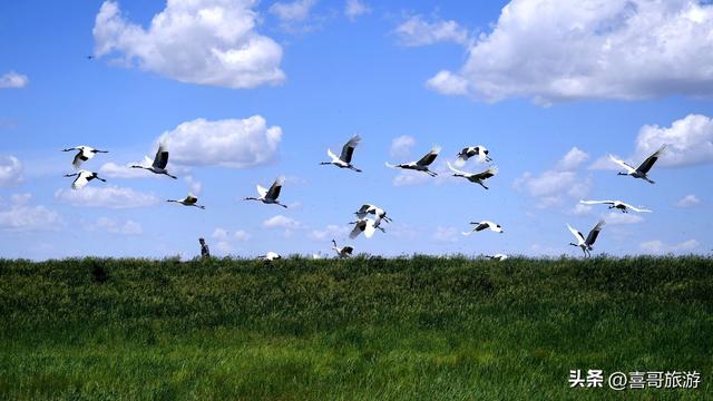 探秘三江腹地的生态明珠：同江八岔岛国家级自然保护区