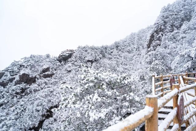 绝美！明月山今日雪景持续放送，速来打卡！