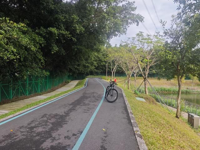 环西丽湖绿道骑行慢行随拍-动个好奇心