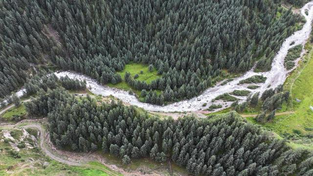 甘肃民乐：祁连山下林海苍翠茂密 湖水翠绿欲滴
