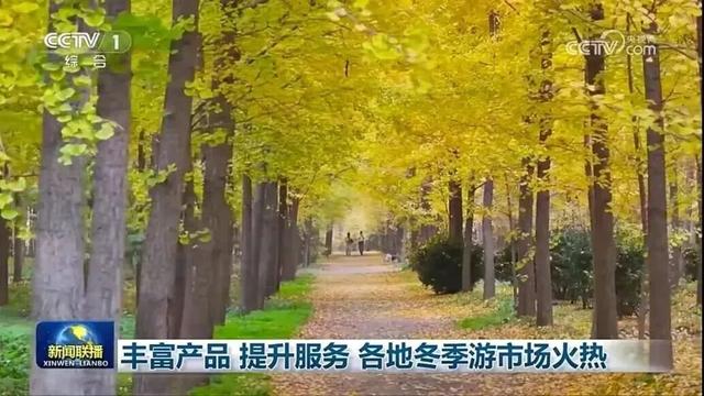 两天七次！安陆霸屏央视