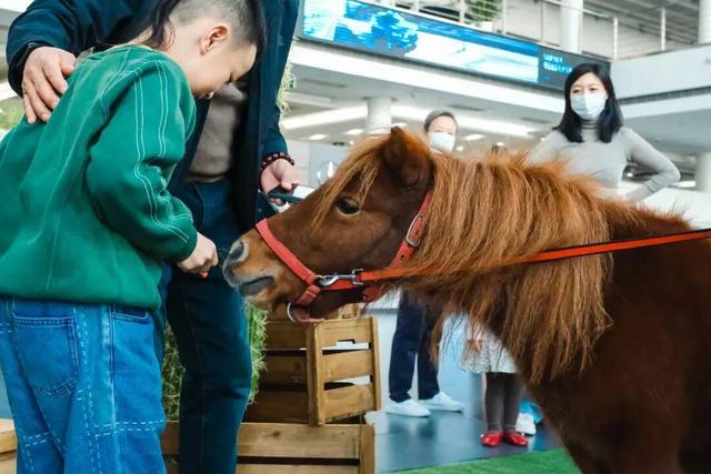 新春攻略！海淀这个商圈，活动超多