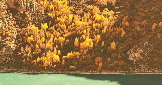 「辉煌60年·新时代西藏答卷」秋染林周好风光