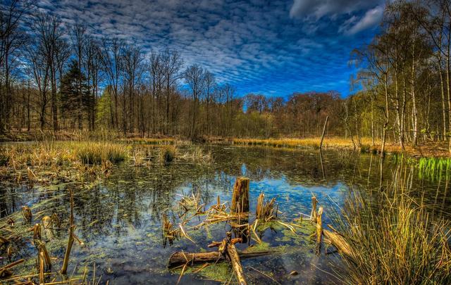 梦见已故亲人别慌！这3个暗示很准，尤其第3点常被忽略