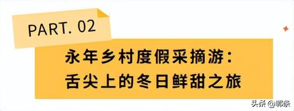 约么？邯郸这4条旅游线路被全省推荐！